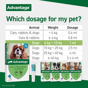 Advantage dosage guide highlighting dogs 4-10kg with 1ml dose