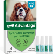 Advantage Spot On Flea Treatment for Medium Dogs 4-10kg 100mg 4 pipettes front pack