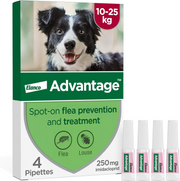 Advantage Spot On Flea Treatment for Large Dogs 10-25kg 250mg 4 pipettes front pack