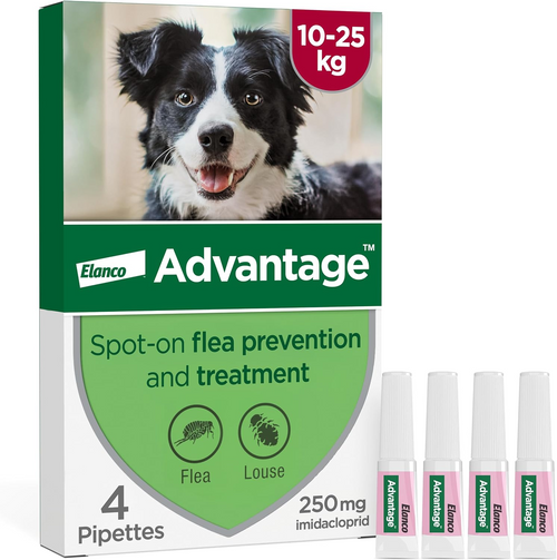 Advantage Spot On Flea Treatment for Large Dogs 10-25kg 250mg 4 pipettes front pack