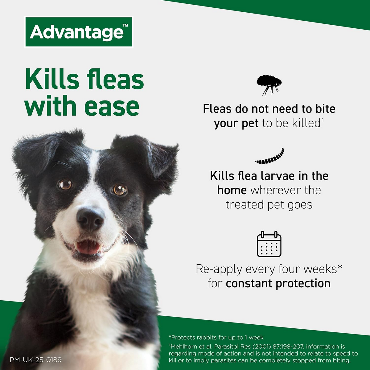Advantage Spot On kills fleas with ease and re-apply every four weeks