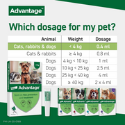 Advantage dosage guide highlighting cats, rabbits and dogs under 4kg with 0.4ml dose