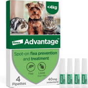 Advantage Spot On Flea Treatment for cats, dogs and rabbits under 4kg 40mg 4 pipettes front pack