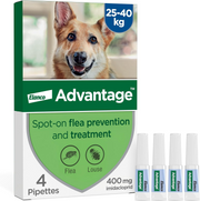 Advantage Spot On Flea Treatment for Extra Large Dogs 25-40kg 400mg 4 pipettes front pack