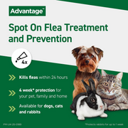 Advantage Spot On flea treatment and prevention benefits for dogs, cats and rabbits