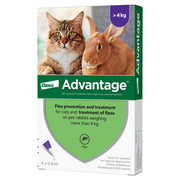 Advantage 80 Spot-On front pack - large cats and pet rabbits over 4kg
