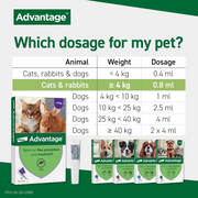 Advantage 80 dosage guide highlighting cats and rabbits over 4kg
